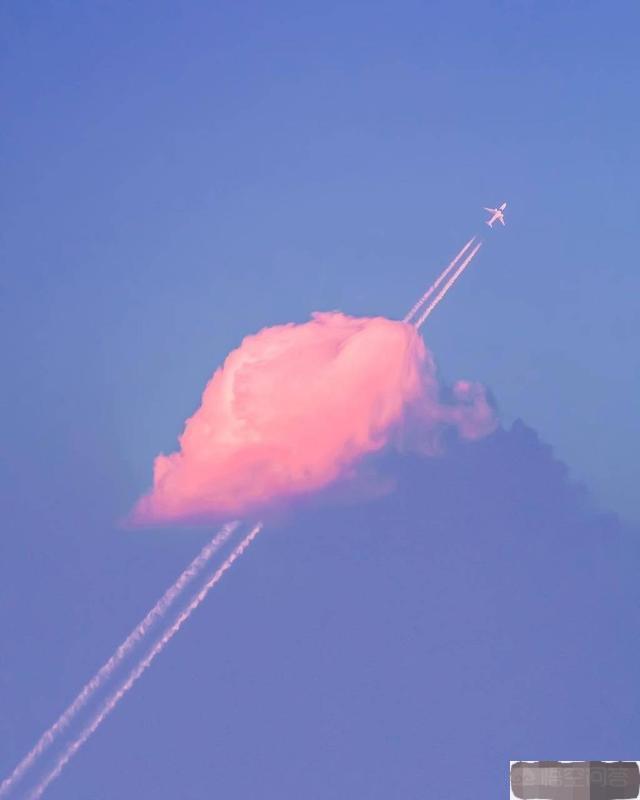 你读过最有力量的一段文字是什么？(图14)