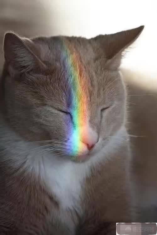 你读过最有力量的一段文字是什么？(图15)