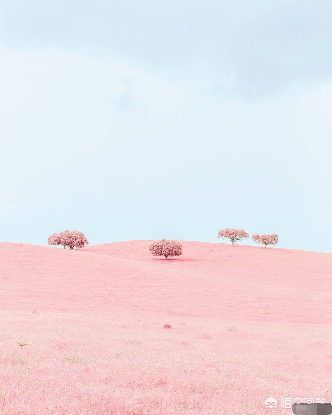 你读过最有力量的一段文字是什么？(图17)