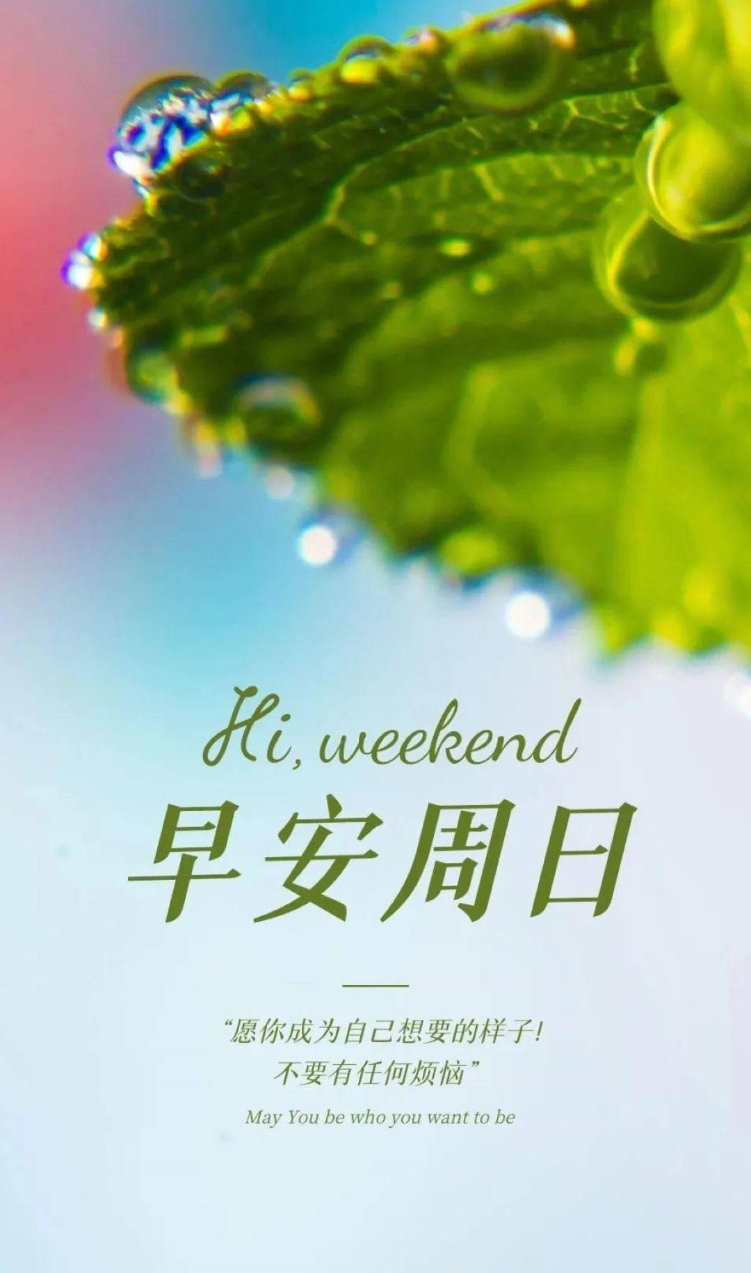 一句话早安正能量微信很火的句子(图1)