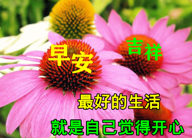 积极向上的早安励志语录短句，早安吉祥的问候祝福语动态图片带字(图2)