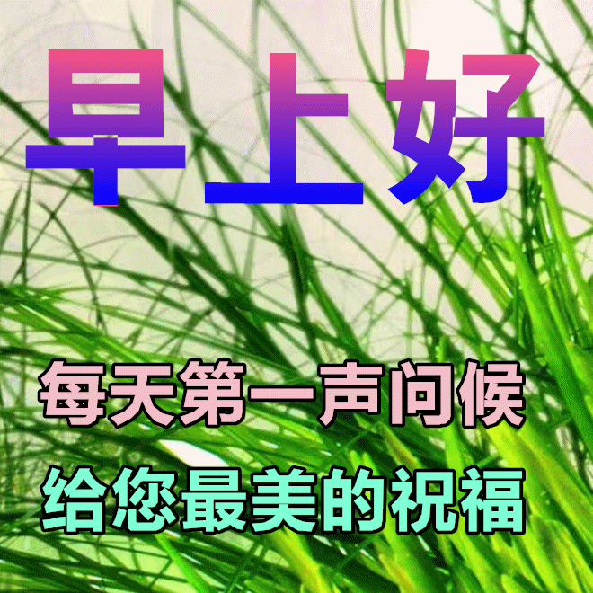 积极向上的早安励志语录短句，早安吉祥的问候祝福语动态图片带字(图6)