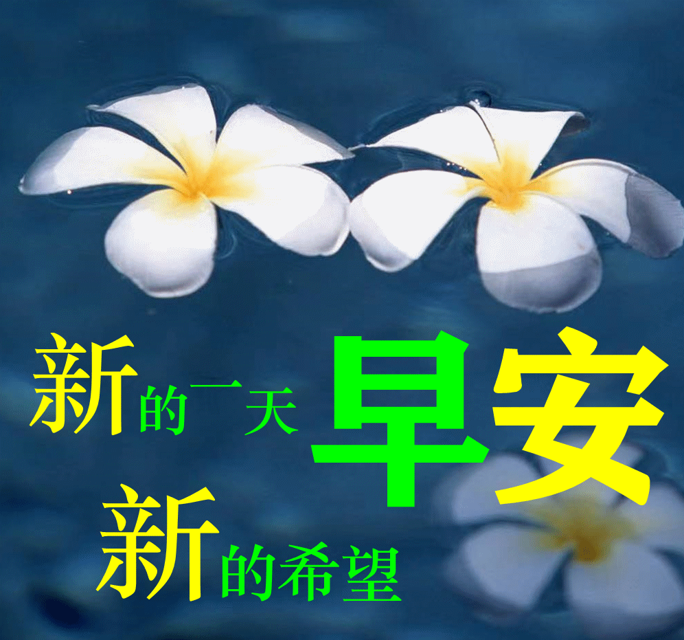 积极向上的早安励志语录短句，早安吉祥的问候祝福语动态图片带字(图10)