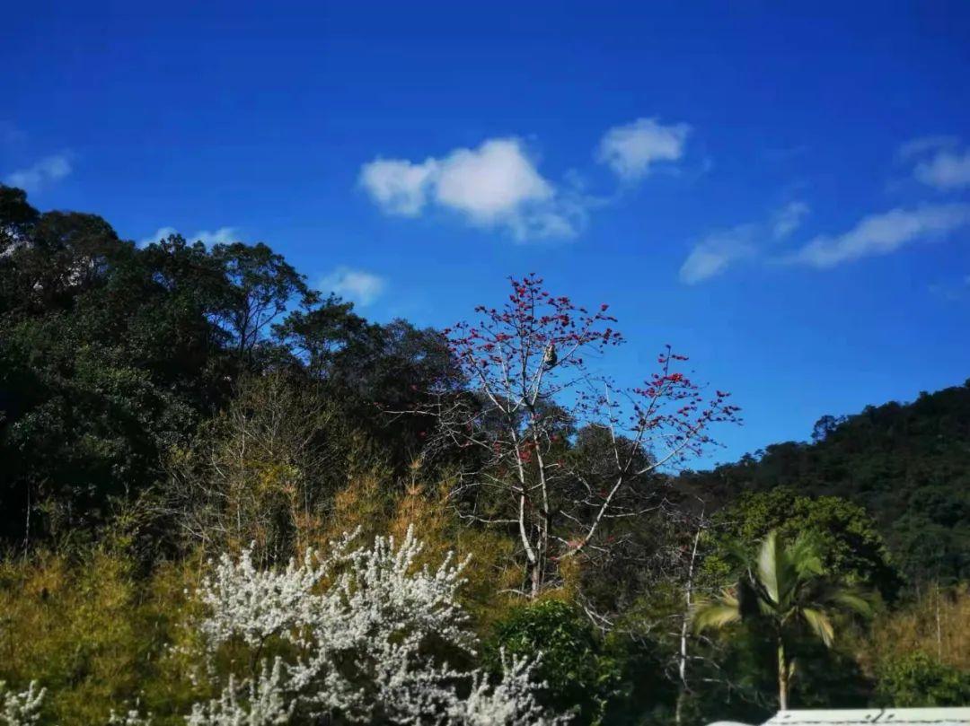 原创诗词-刘柏荣 | 卉木繁时天有序，丛芳怒放等春来（诗词21首）(图3)