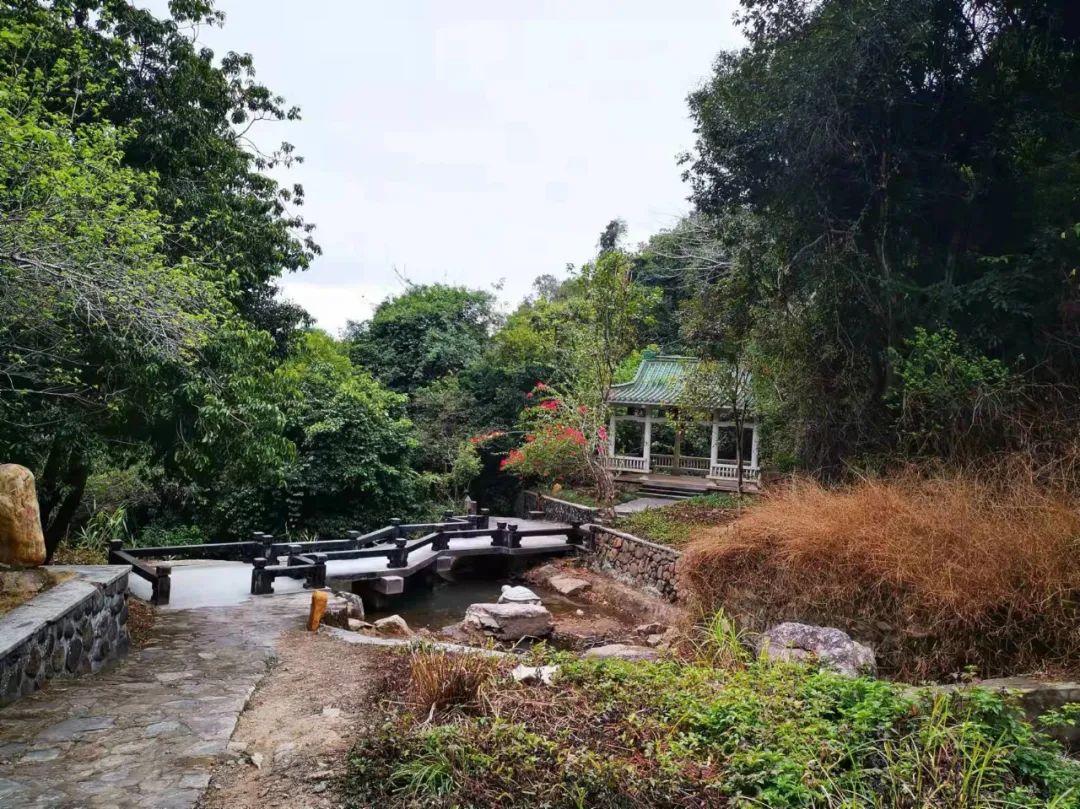 原创诗词-刘柏荣 | 卉木繁时天有序，丛芳怒放等春来（诗词21首）(图5)