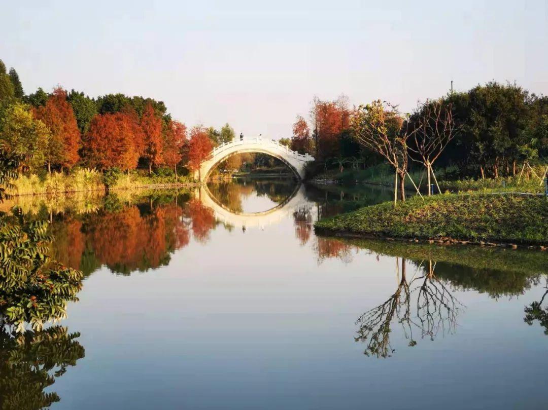 原创诗词-刘柏荣 | 卉木繁时天有序，丛芳怒放等春来（诗词21首）(图7)