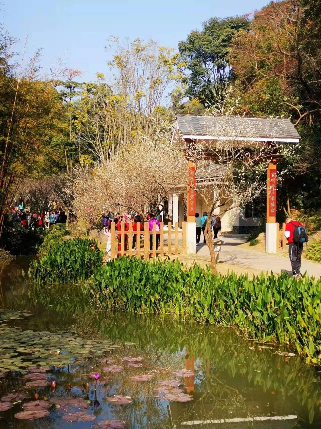 原创诗词-刘柏荣 | 卉木繁时天有序，丛芳怒放等春来（诗词21首）(图9)