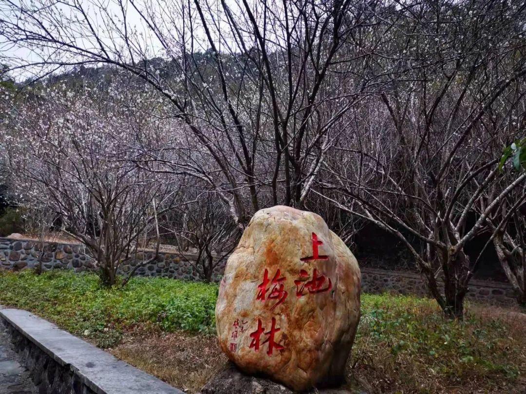原创诗词-刘柏荣 | 卉木繁时天有序，丛芳怒放等春来（诗词21首）(图12)