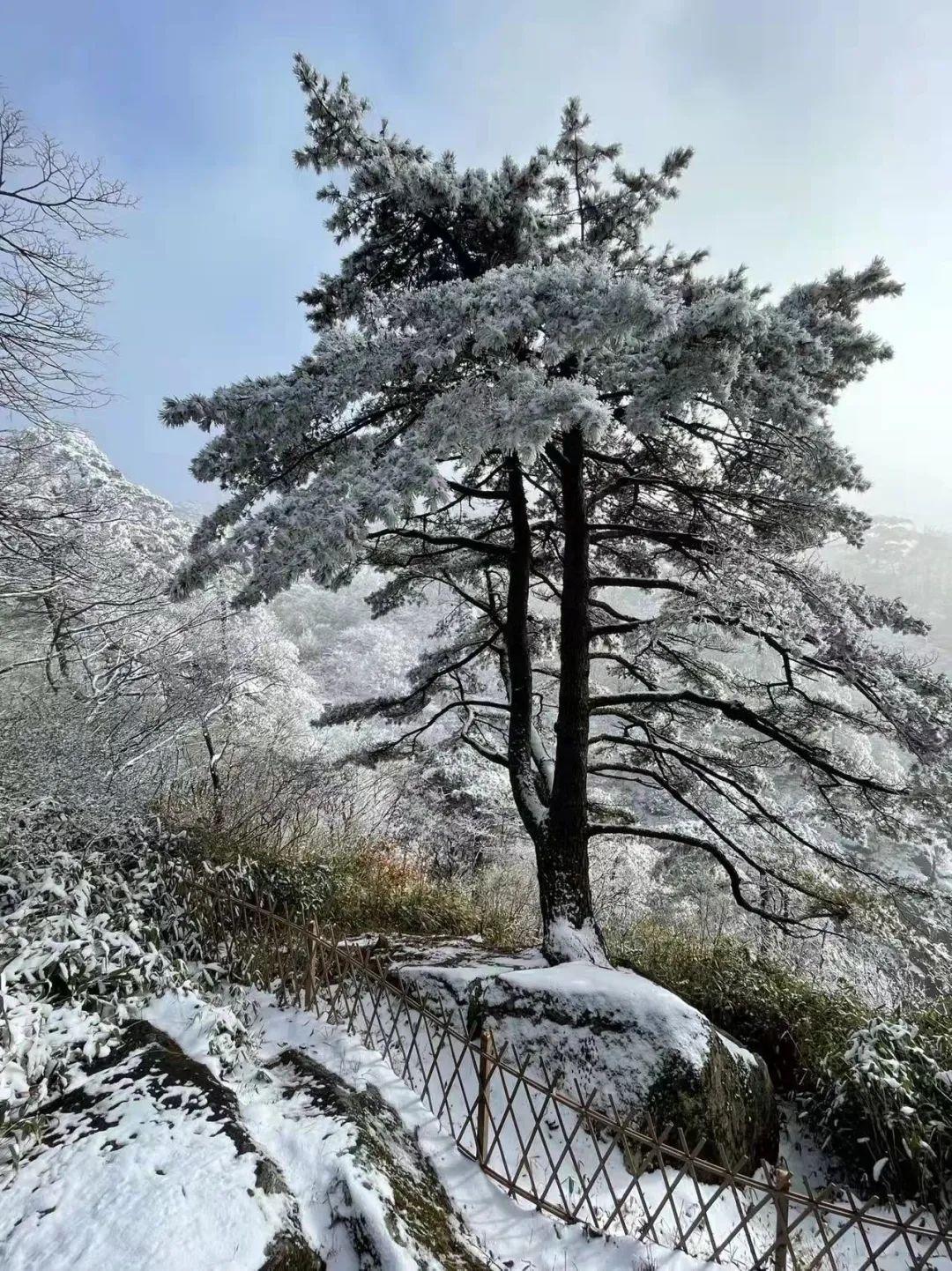 原创诗词-刘柏荣 | 卉木繁时天有序，丛芳怒放等春来（诗词21首）(图16)