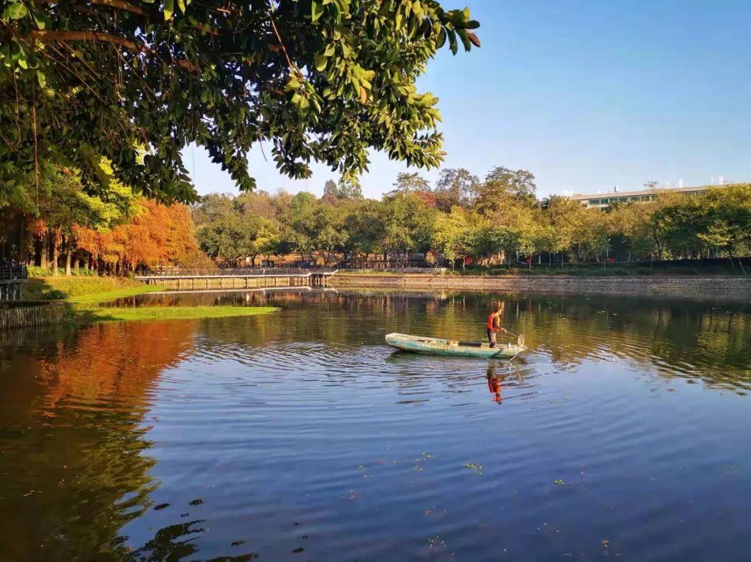 原创诗词-刘柏荣 | 卉木繁时天有序，丛芳怒放等春来（诗词21首）(图20)