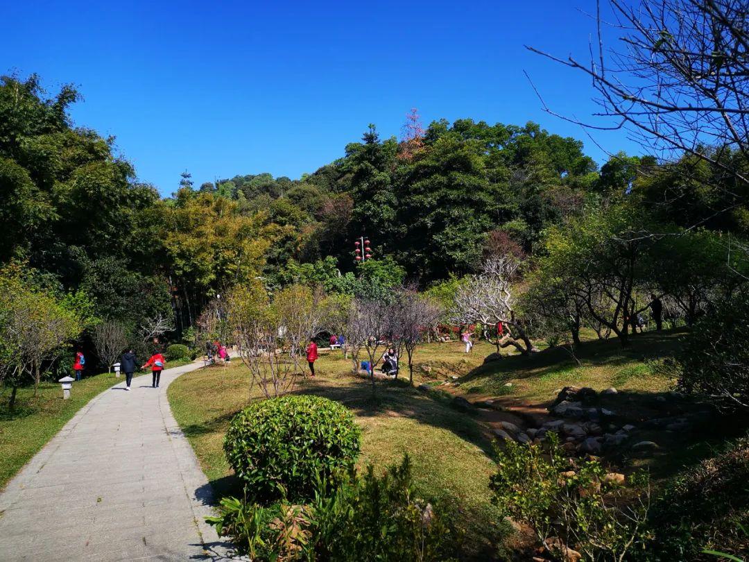 原创诗词-刘柏荣 | 卉木繁时天有序，丛芳怒放等春来（诗词21首）(图22)