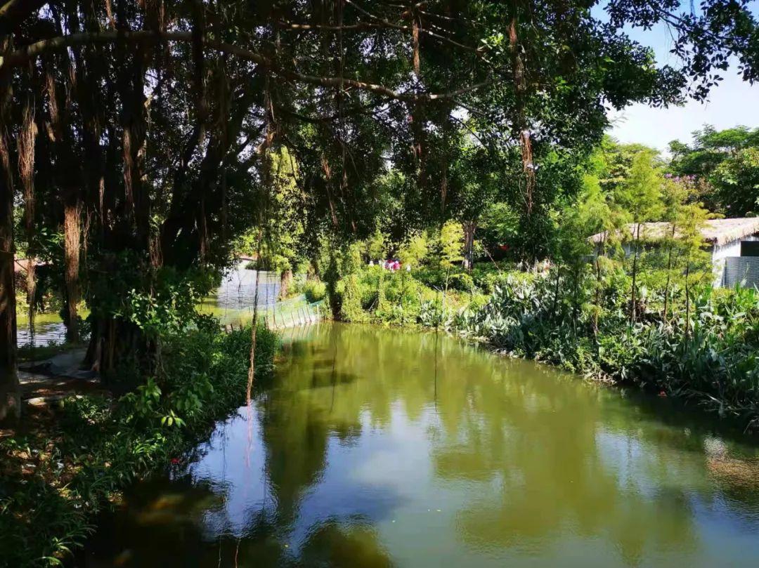 原创诗词-刘柏荣 | 卉木繁时天有序，丛芳怒放等春来（诗词21首）(图26)