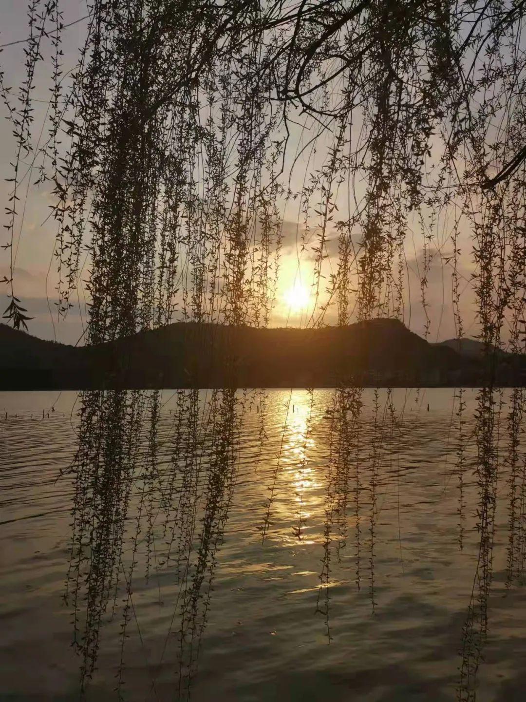 原创诗词-刘柏荣 | 卉木繁时天有序，丛芳怒放等春来（诗词21首）(图32)