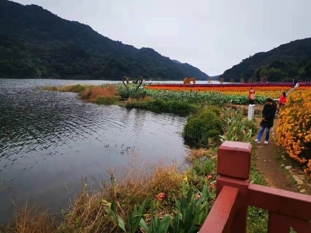 原创诗词-刘柏荣 | 卉木繁时天有序，丛芳怒放等春来（诗词21首）(图36)