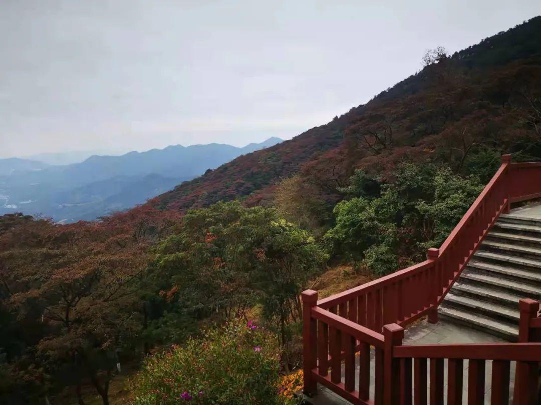 原创诗词-刘柏荣 | 卉木繁时天有序，丛芳怒放等春来（诗词21首）(图38)