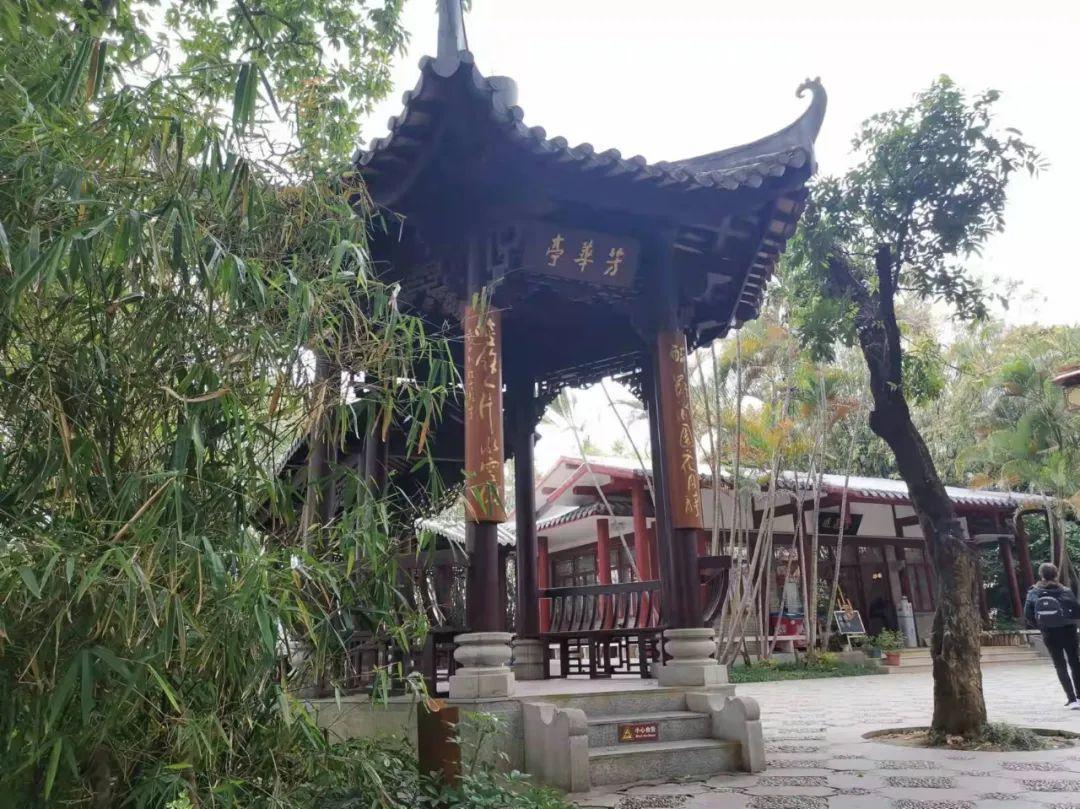 原创诗词-刘柏荣 | 卉木繁时天有序，丛芳怒放等春来（诗词21首）(图40)