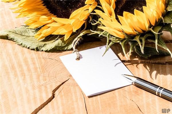 正能量阳光的经典说说短语，用美好生活感恩时代，句句富有哲理(图1)