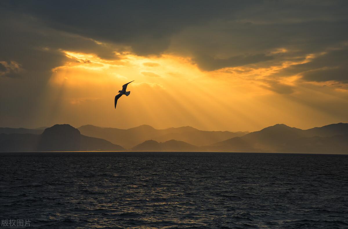 第7期「人民日报金句摘抄」奉献和奋斗的人生很值得(图8)