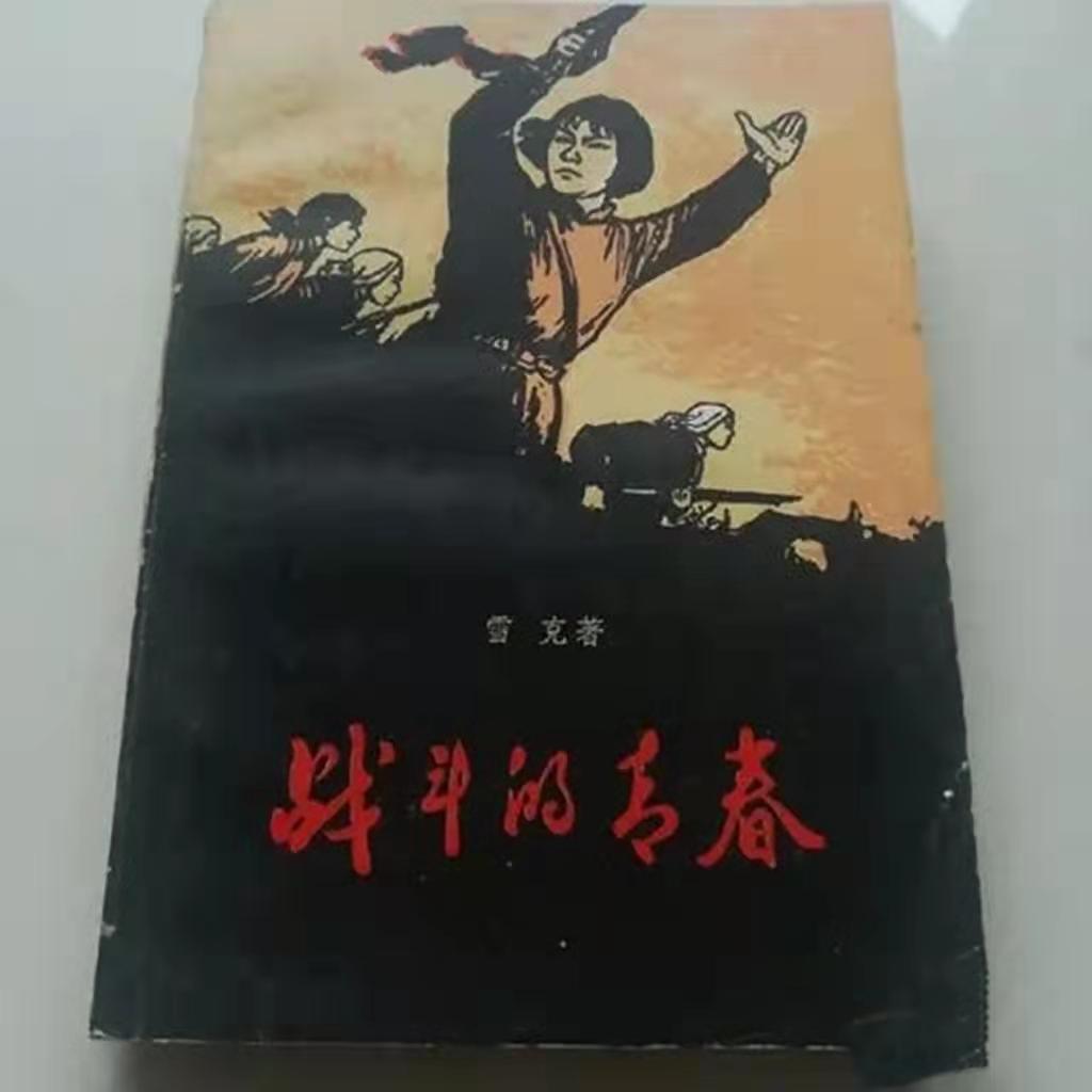 红色经典长篇小说:爱国情怀,气势恢宏,影响深远,百读不厌(图6) 红色经典长篇小说:爱国情怀,气势恢宏,影响深远,百读不厌(图6)