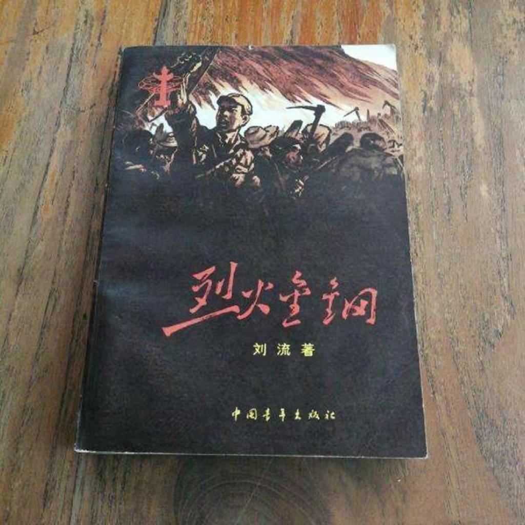 红色经典长篇小说：爱国情怀，气势恢宏，影响深远，百读不厌(图7)