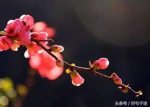 句句经典的人生感悟名言警句，一语惊醒梦中人(图2)