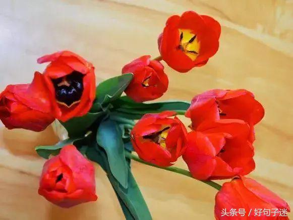 句句经典的人生感悟名言警句，一语惊醒梦中人(图3)