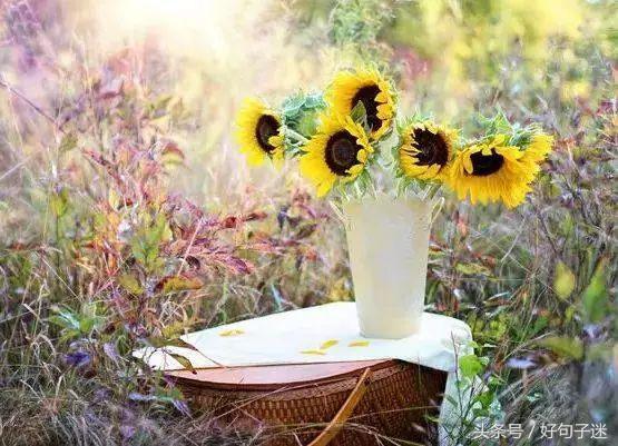 句句经典的人生感悟名言警句，一语惊醒梦中人(图6)