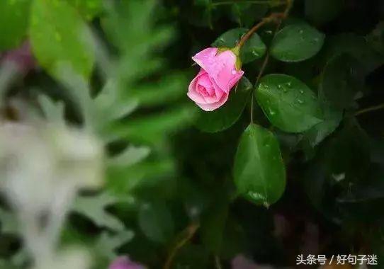 句句经典的人生感悟名言警句，一语惊醒梦中人(图8)