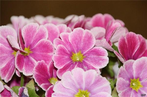 微信很走心的人生感悟经典语录 早安说说温馨现实的句子(图1)