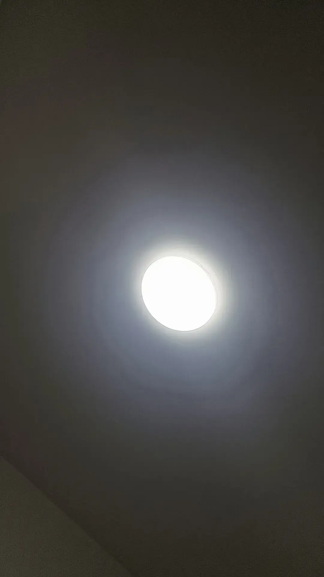 【中秋佳节倍思乡】思乡之情(图5)