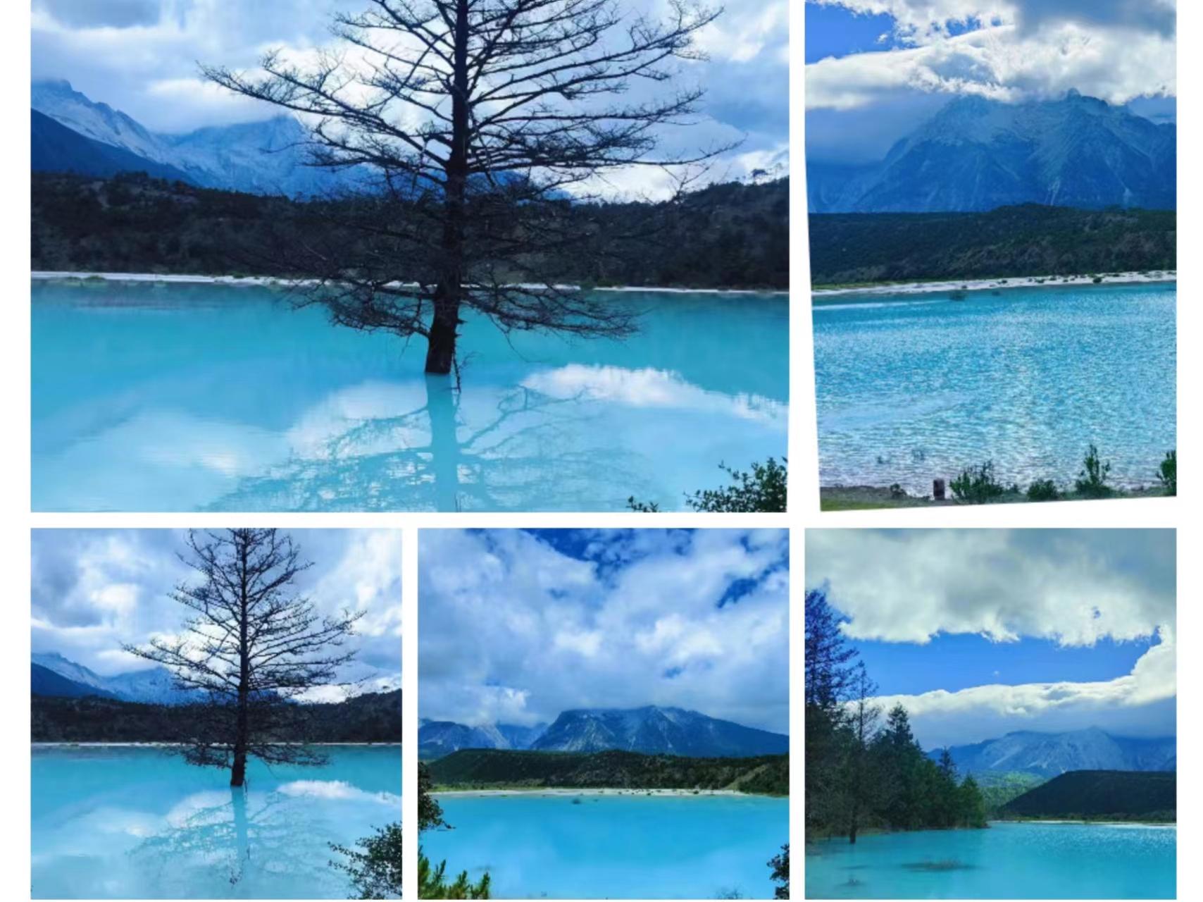 花海飘香：鲜花与壮美景色相映成趣(图1)