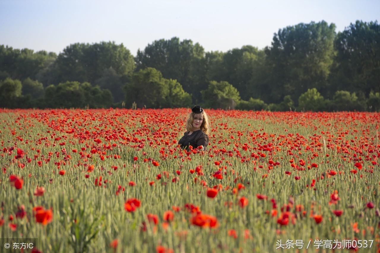 人生格言古诗词 可以作为我们的座右铭的名句(图2)