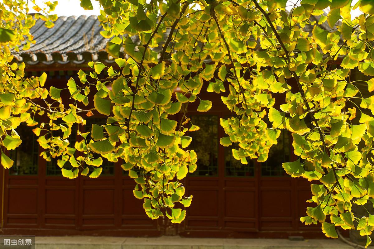 11首励志诗解读：励志名言，句句精辟(图3)