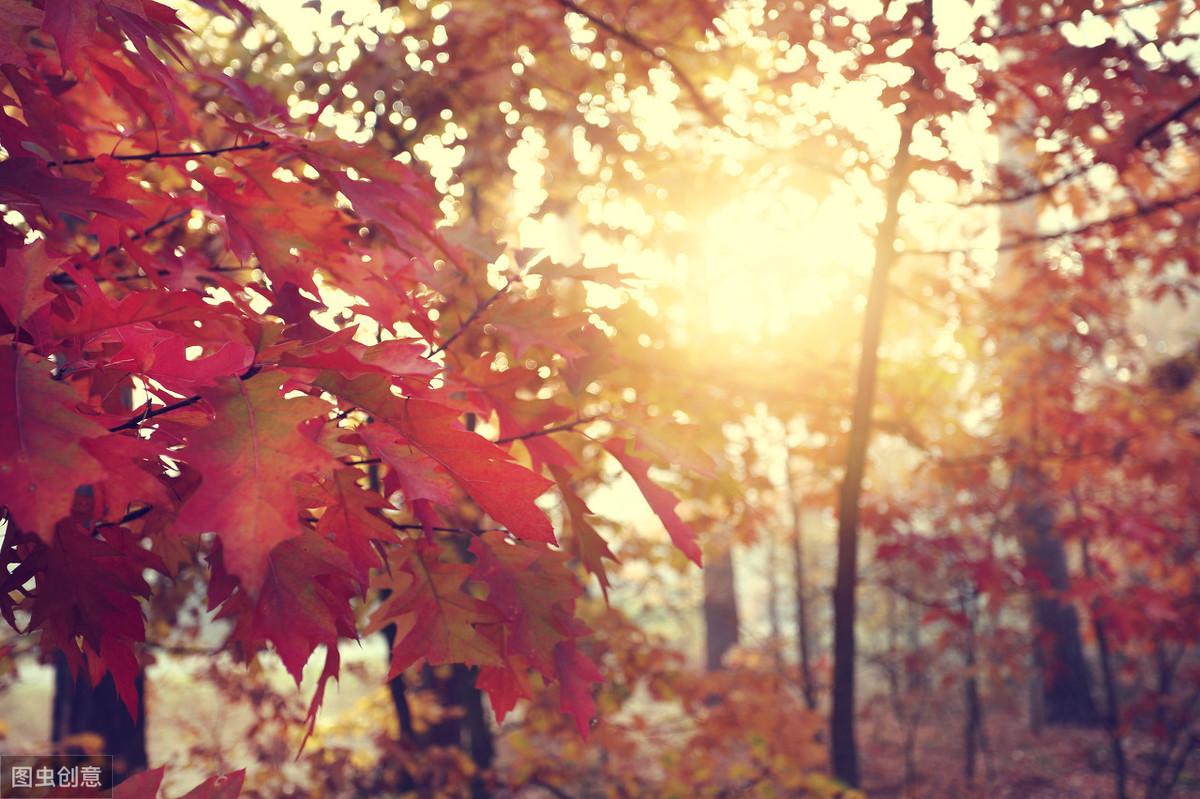 11首励志诗解读：励志名言，句句精辟(图5)