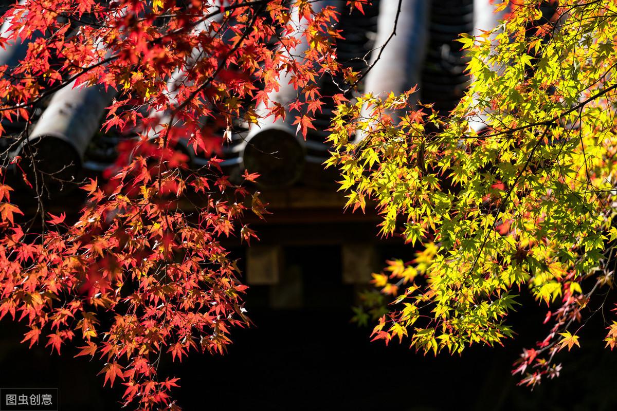 11首励志诗解读：励志名言，句句精辟(图6)