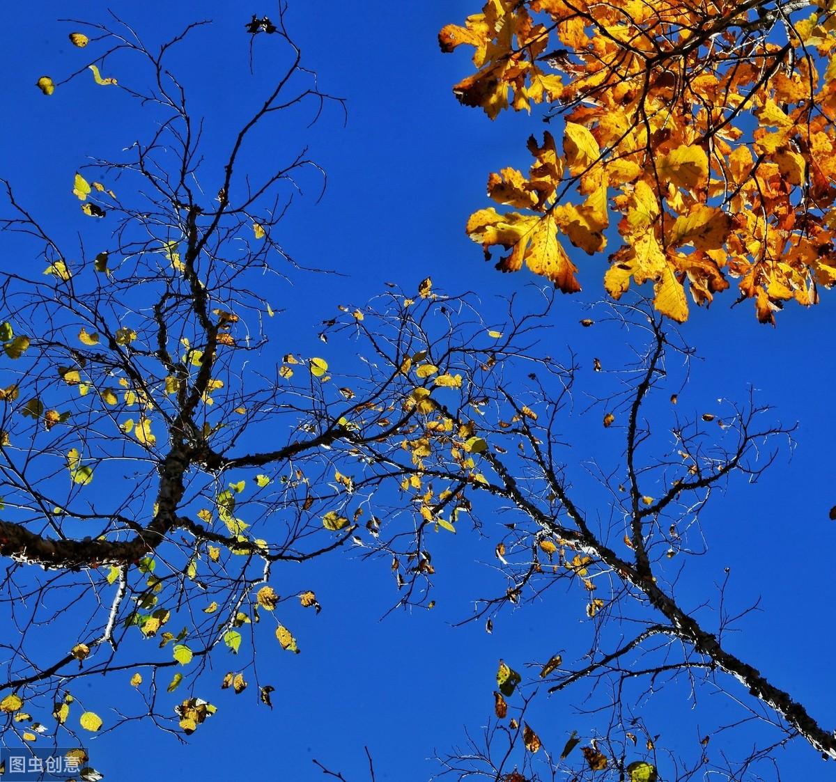 11首励志诗解读：励志名言，句句精辟(图8)