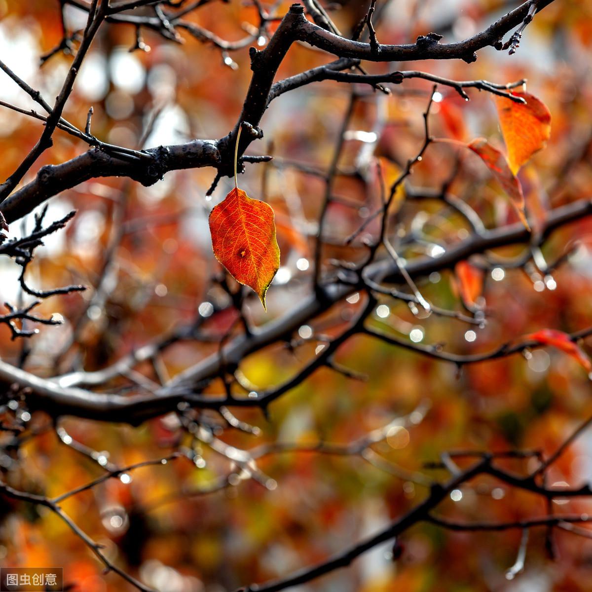 11首励志诗解读：励志名言，句句精辟(图9)