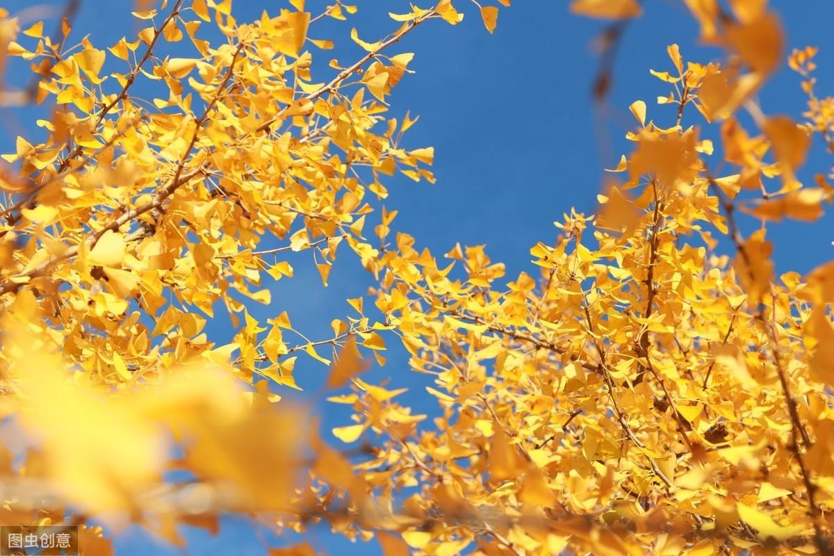 11首励志诗解读：励志名言，句句精辟(图10)