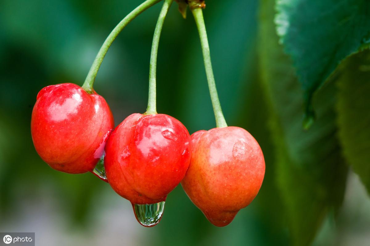 11首励志诗解读：励志名言，句句精辟(图12)