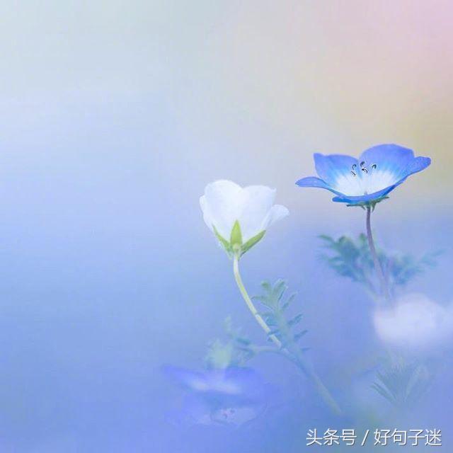 意境超美的古风句子，唯美到哭，留着做个性签名吧！(图2)