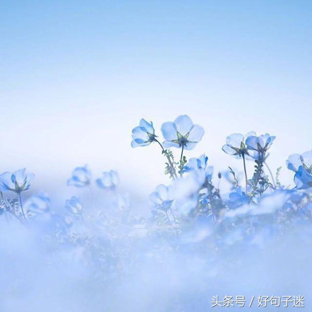 意境超美的古风句子，唯美到哭，留着做个性签名吧！(图3)