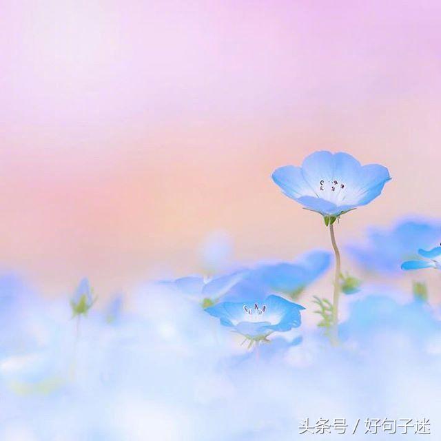 意境超美的古风句子，唯美到哭，留着做个性签名吧！(图4)