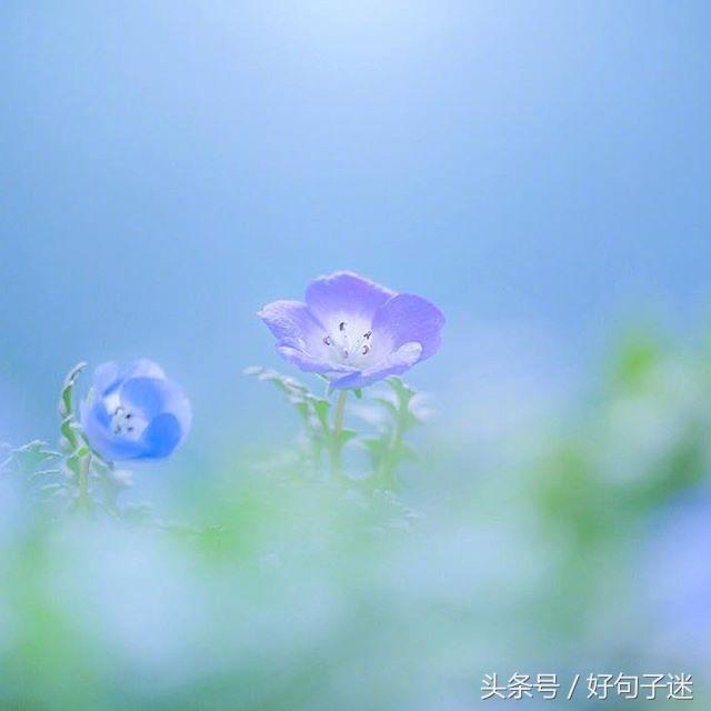 意境超美的古风句子，唯美到哭，留着做个性签名吧！(图5)