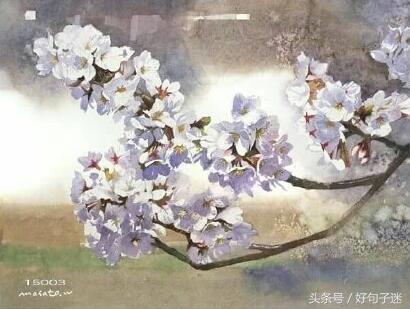 简短的古风个性签名，句句唯美有诗意！(图3)