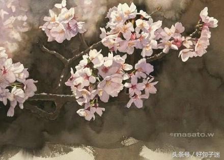 简短的古风个性签名，句句唯美有诗意！(图4)