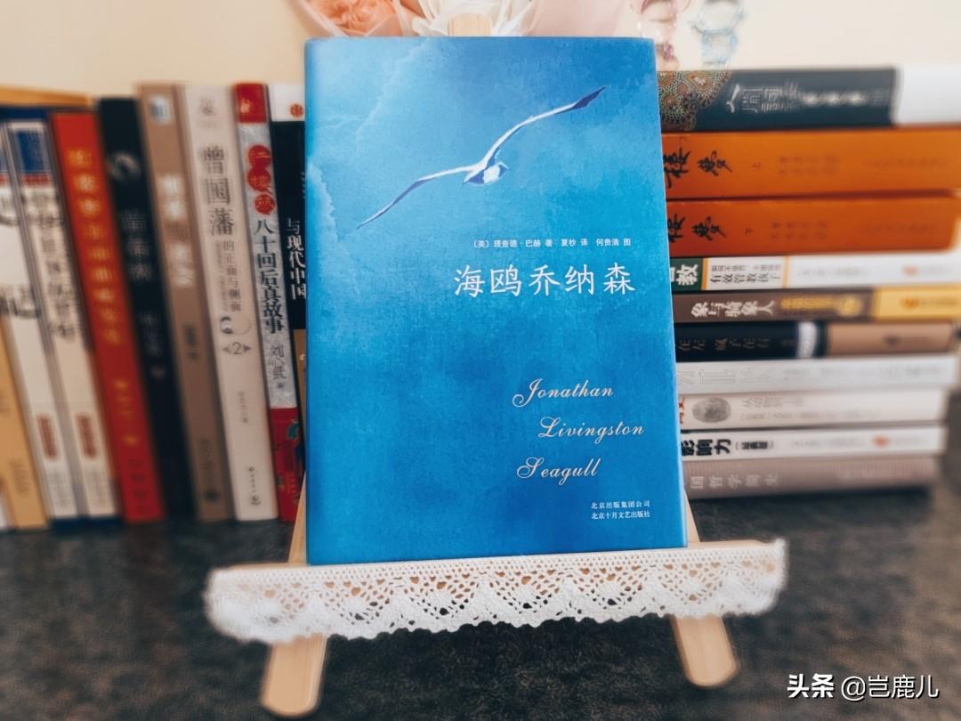 建议收藏 |《海鸥乔纳森》中的经典文句(图1)
