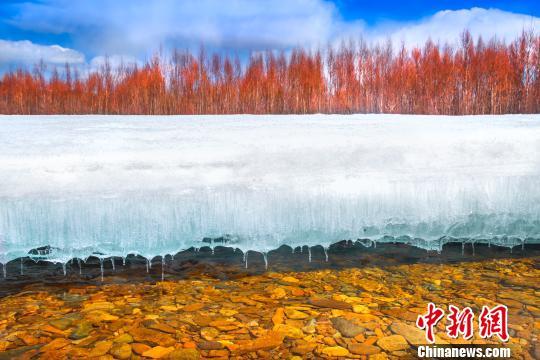 中国北疆四月飞雪 冰雪奇观俏争春色(图3)