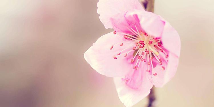 异地恋情侣留言的句子 异地恋真心话留言短句(图1)