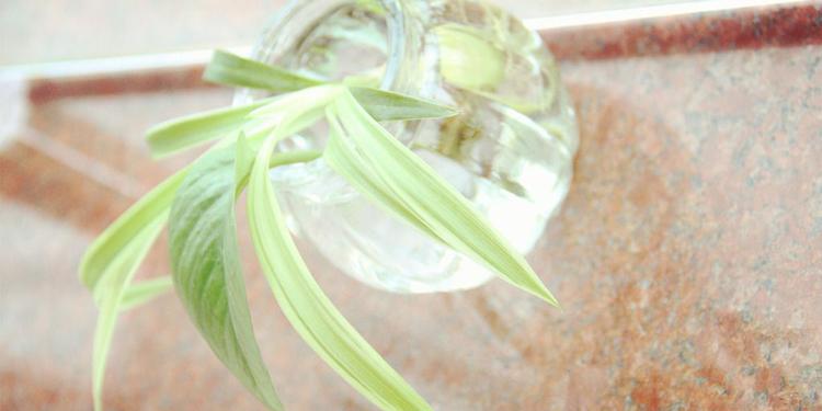 异地恋情侣留言的句子 异地恋真心话留言短句(图2)