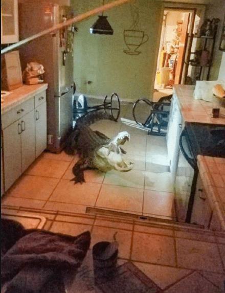 逛街时，她一推开我，原因令人捧腹大笑(图7)